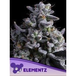 Elementz
