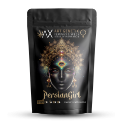 Persian Girl