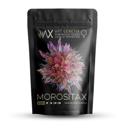 Morositax™