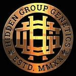 hidden group genetics